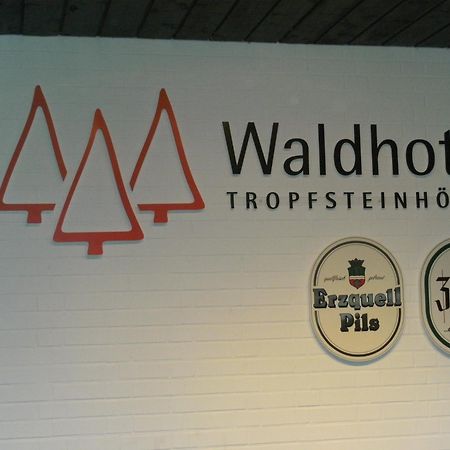 Waldhotel Tropfsteinhoehle Wiehl Dış mekan fotoğraf