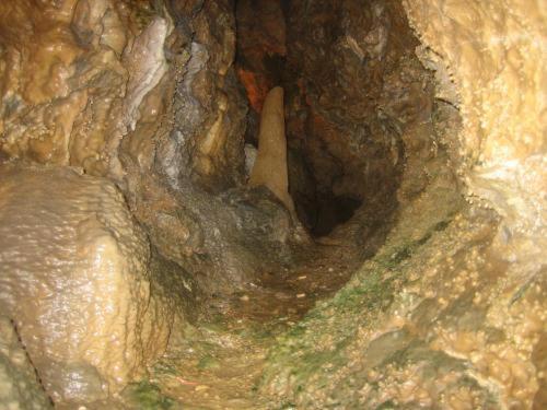 Waldhotel Tropfsteinhoehle Wiehl Dış mekan fotoğraf
